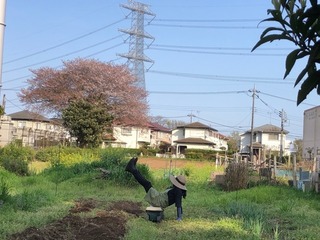 009C0F11-8C45-4D08-9B7D-8F26B333CF33.jpeg