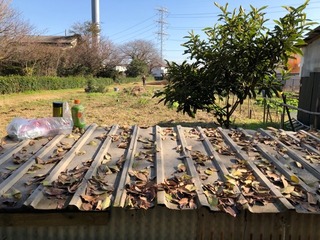 078A81BA-0134-4005-B8FA-439B9F42B453.jpeg