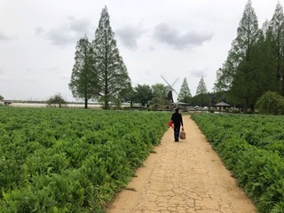 1B43B41B-6EF0-4027-9D0F-D91D50D12B56.jpeg