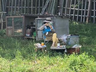 6A14361A-25FD-4A01-B355-D2B271C3373C.jpeg