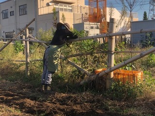 8AE7D487-15F2-4311-986B-72AEF7C6AD8A.jpeg