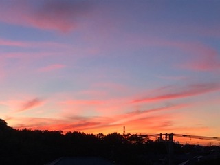 AE29944C-3725-42D2-BC83-D97FE1109052.jpeg