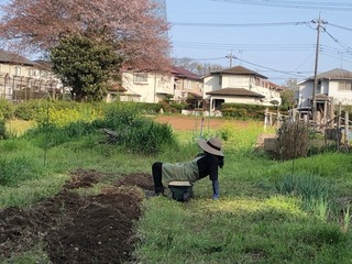 CA055E5D-BF8E-48C7-B83A-85AD7F9EF595.jpeg