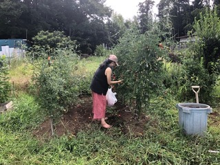 IMG_0008.jpeg