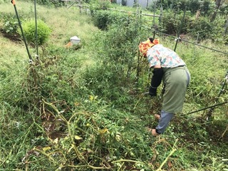 IMG_0348.jpeg