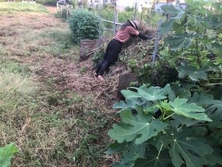 IMG_0747.jpeg