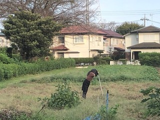IMG_0748.jpeg