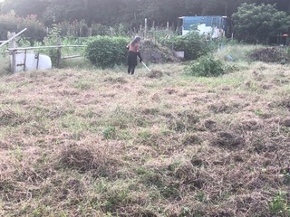 IMG_0749.jpeg