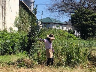 IMG_0843.jpeg