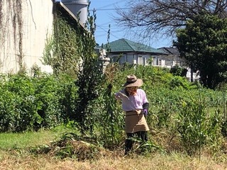 IMG_0845.jpeg