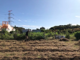 IMG_0851.jpeg