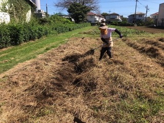 IMG_0853.jpeg