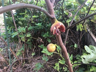 IMG_0898.jpeg