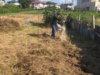IMG_0948.jpeg