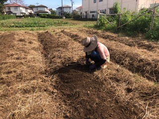IMG_0982.jpeg