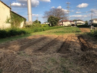 IMG_0985.jpeg