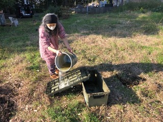 IMG_1608-898cd.jpeg