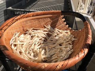 IMG_1750.jpeg