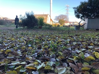 IMG_1768.jpeg