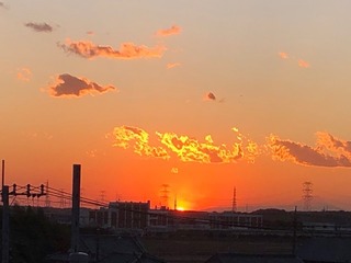 IMG_1791.jpeg