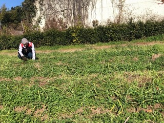 IMG_1811.jpeg
