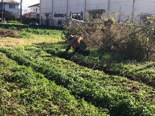 IMG_1812.jpeg