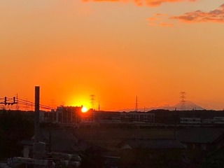 IMG_2056.jpeg