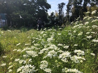 IMG_9065.jpeg