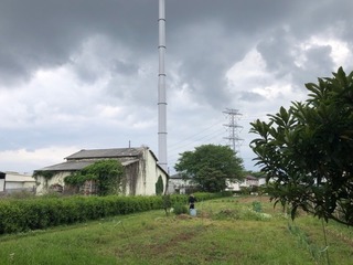 IMG_9148.jpeg