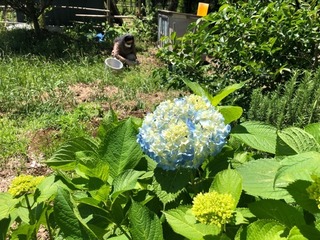 IMG_9335.jpeg