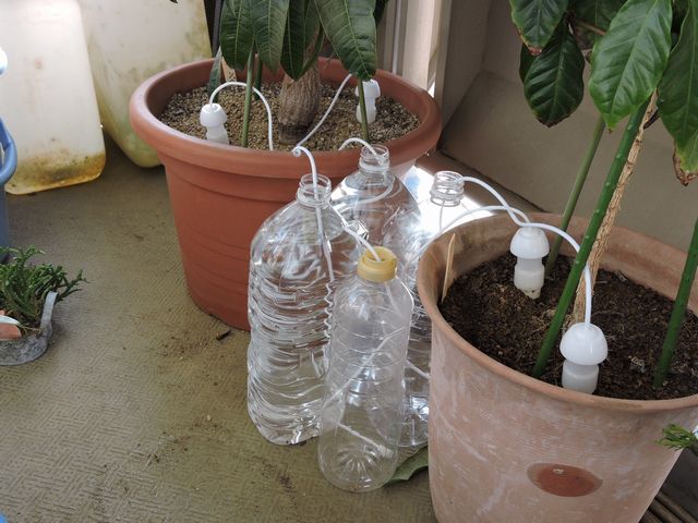 2014-12-28 008-水が残っていた