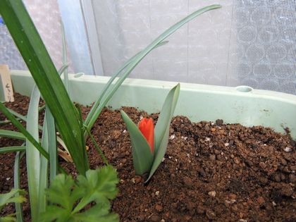 2015-03-29 018