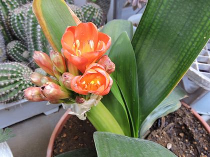 2015-03-29 007