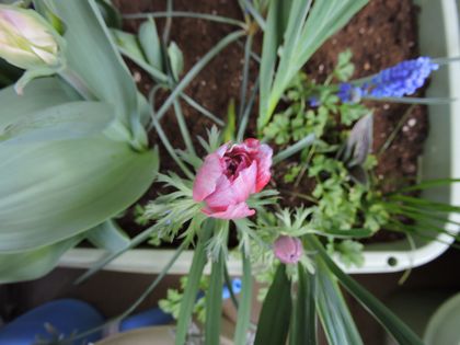 2015-03-29 012