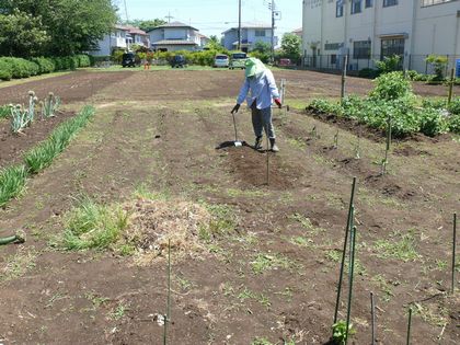 blg-2015-05-13 010